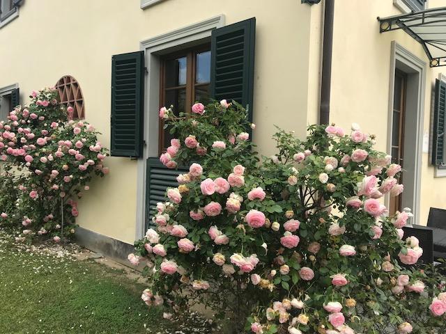 Residence Prunali Massarosa Zewnętrze zdjęcie